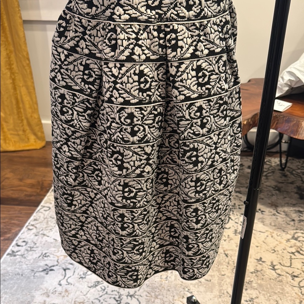 Black and White Fit and Flare Mini Dress - Picture 4 of 5